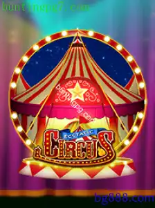 EcstaticCircus