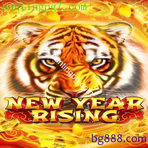 NewYearRising